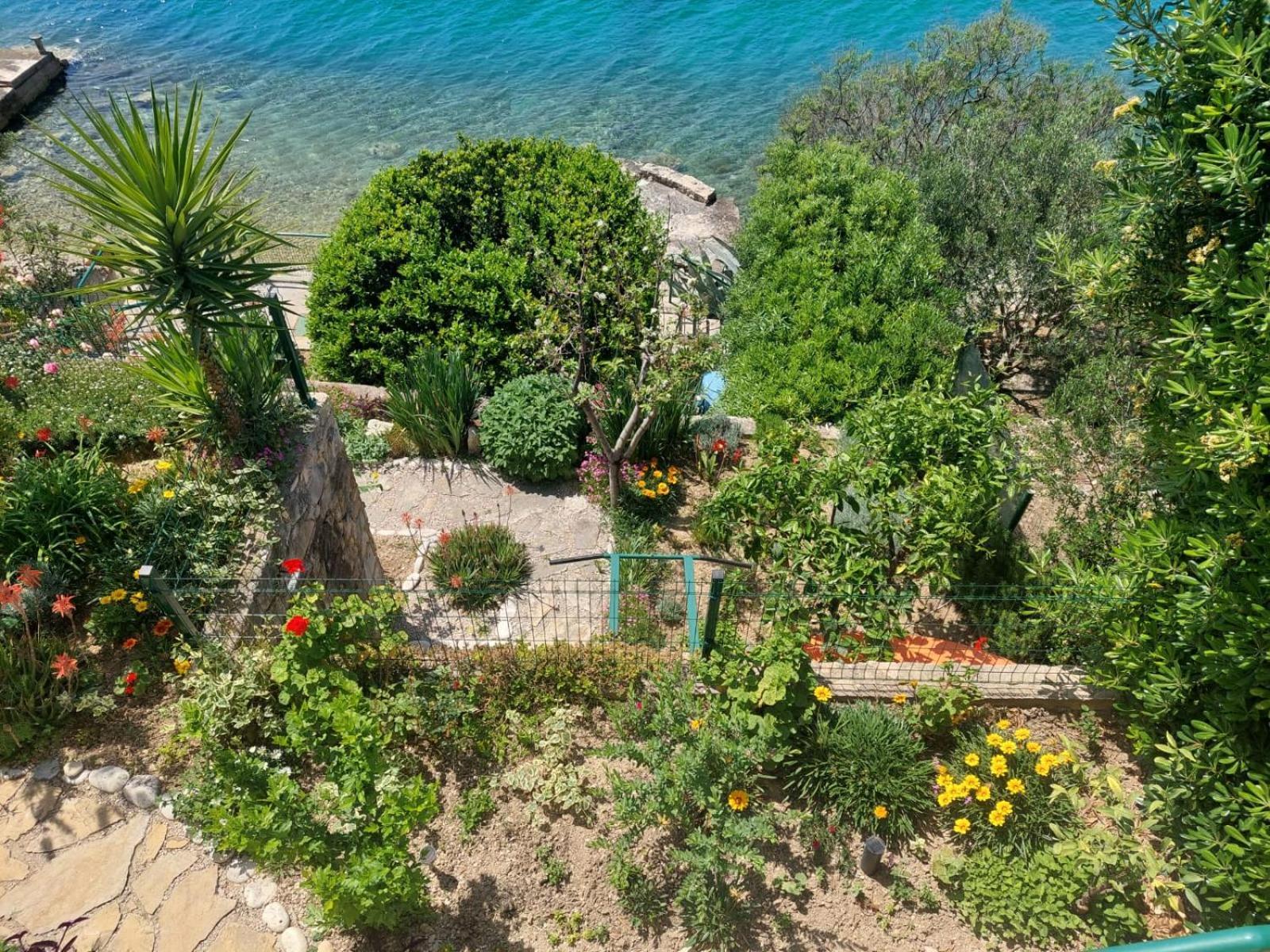 Apartment Toncica Omiš Extérieur photo
